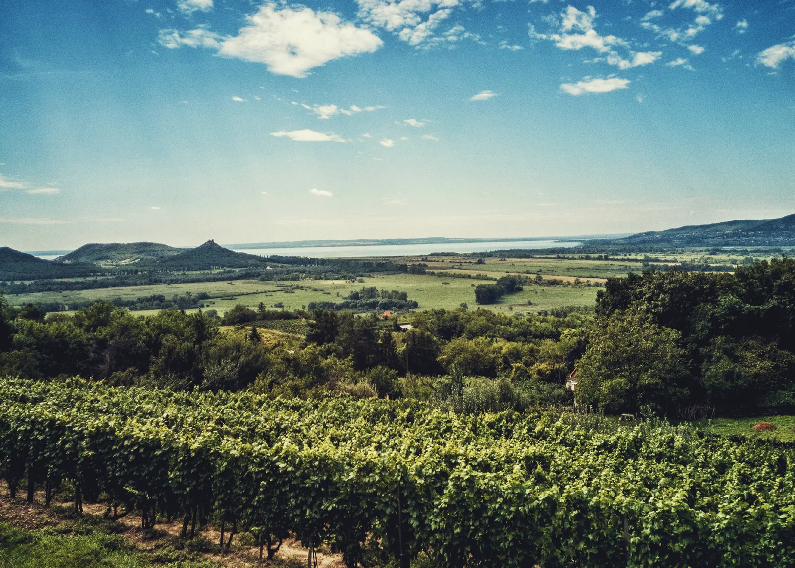 Wine and gastronomy tourism development plan across three priority destinations
